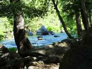 buchert-summer-river